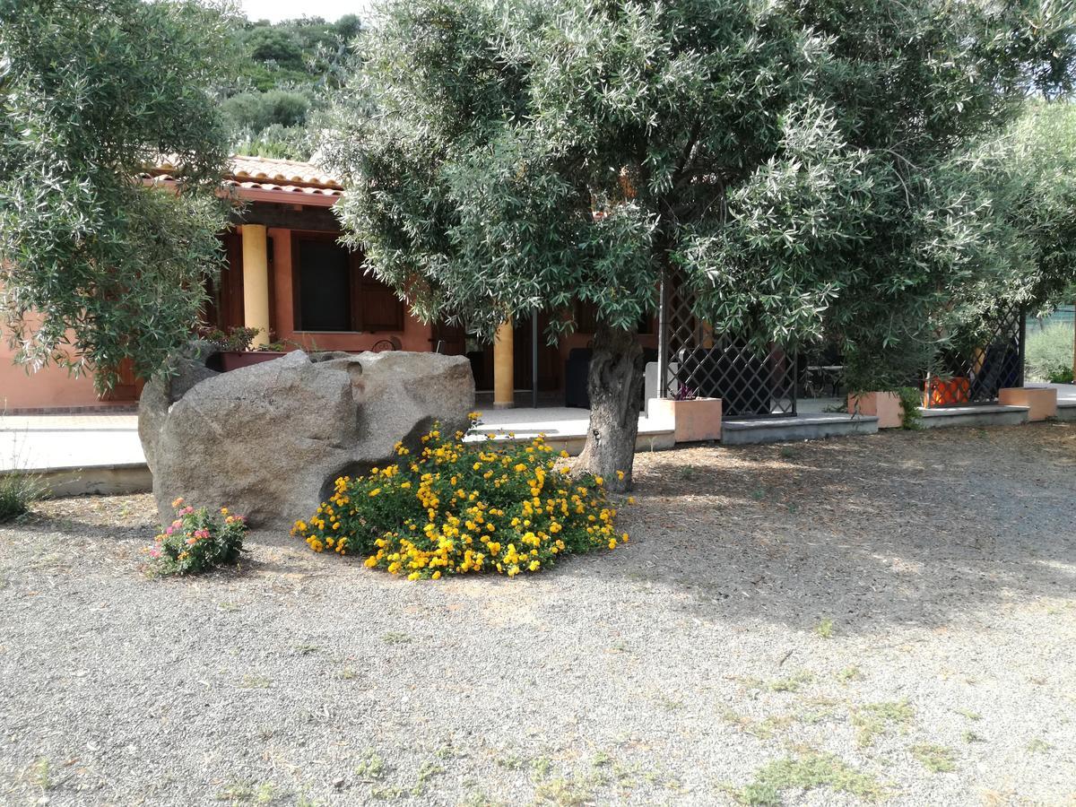 托雷德尔斯泰尔Sumindulau住宿加早餐旅馆 外观 照片